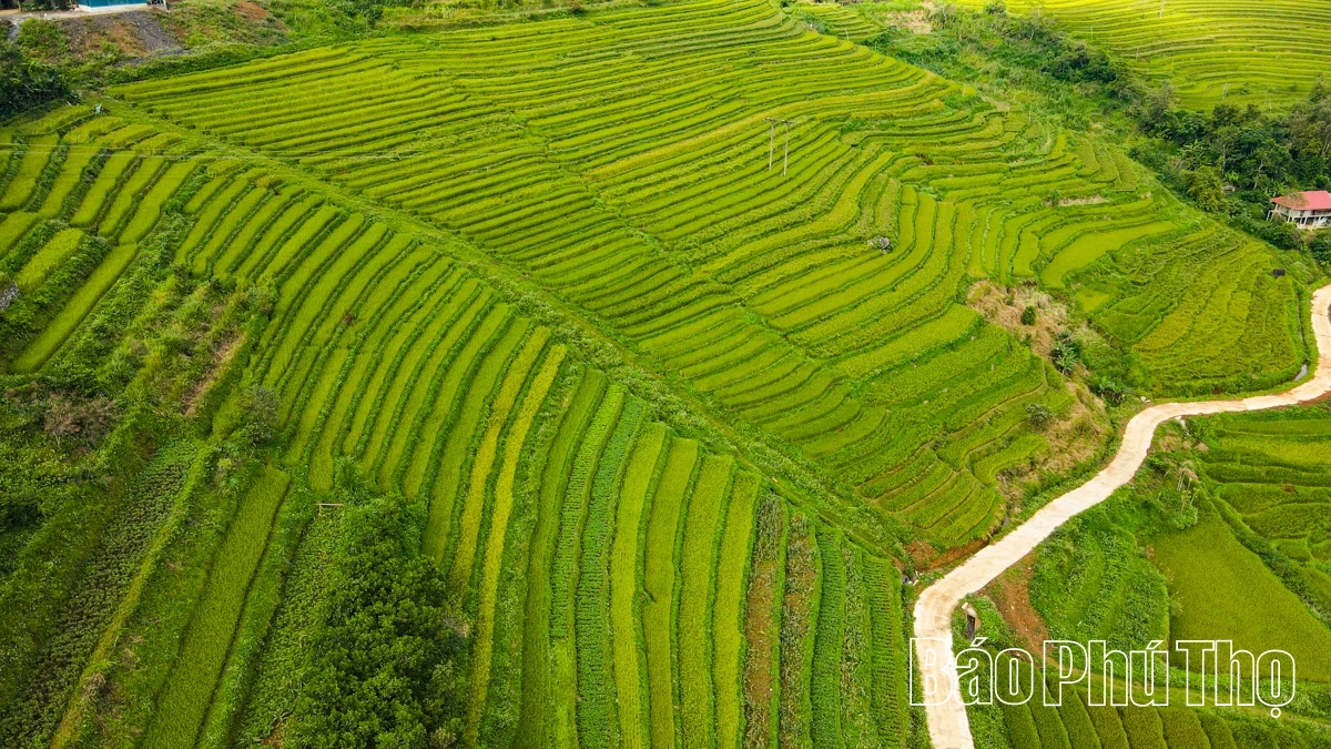 Thả hồn trên đỉnh Miền Đồi
