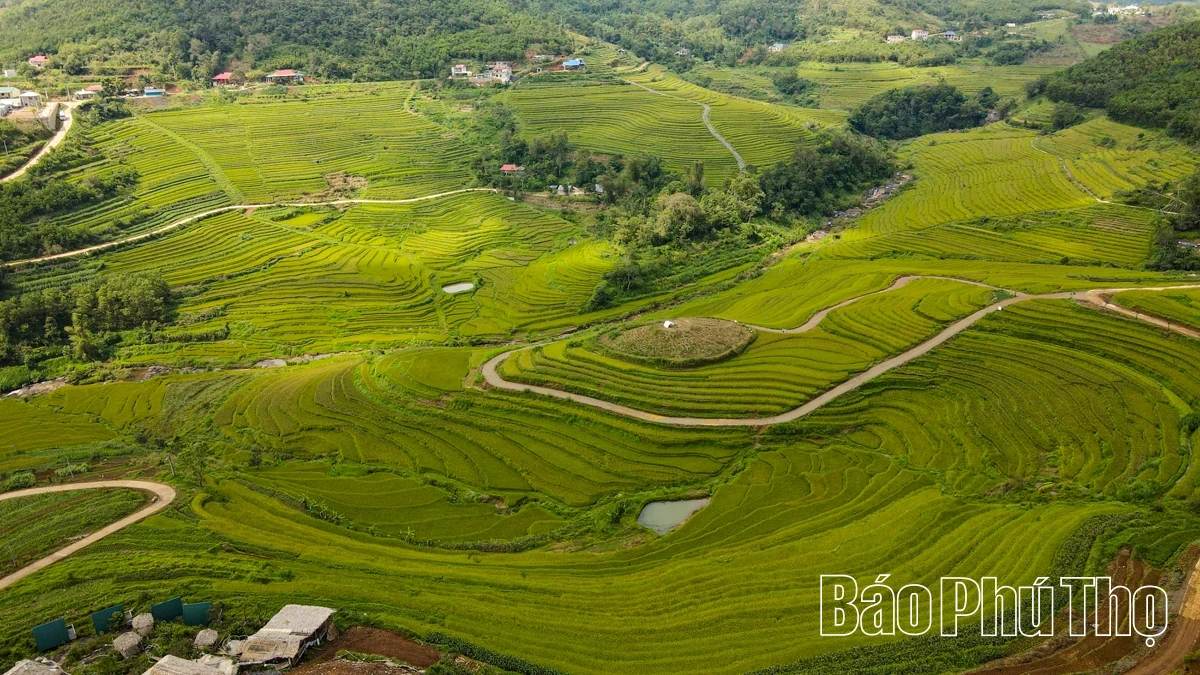 Thả hồn trên đỉnh Miền Đồi