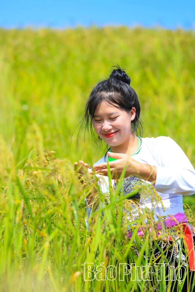 Thả hồn trên đỉnh Miền Đồi