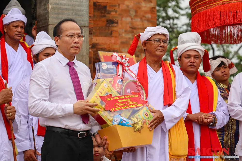 dasua-.jpg