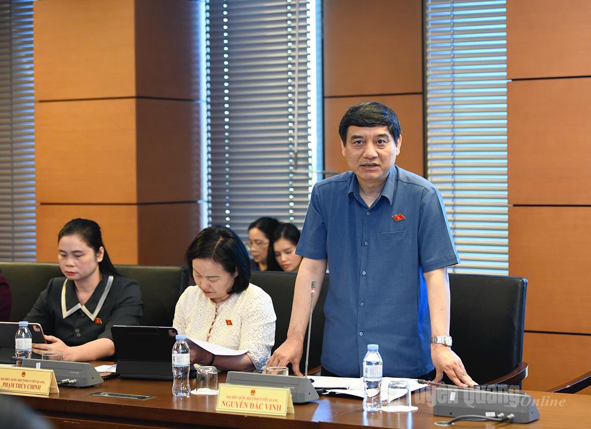 Đại biểu Nguyễn Đắc Vinh phát biểu thảo luận.