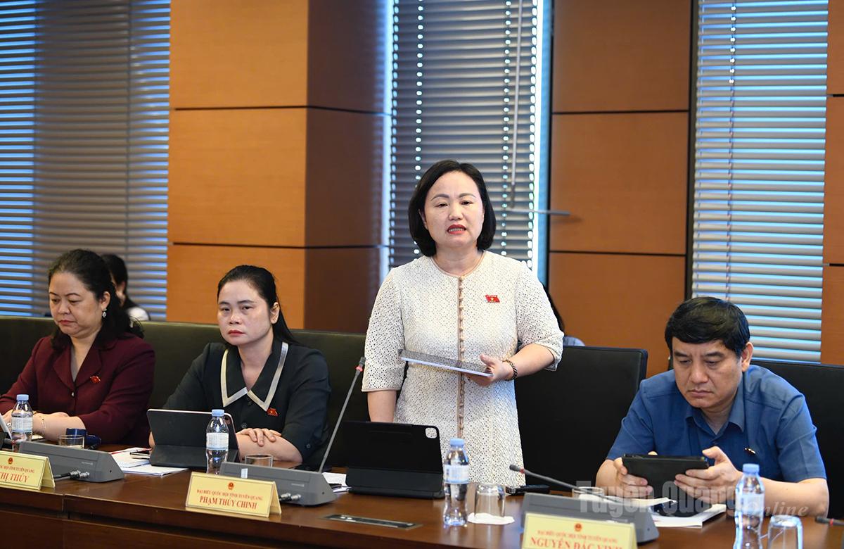 Đại biểu Phạm Thuý Chinh phát biểu thảo luận.
