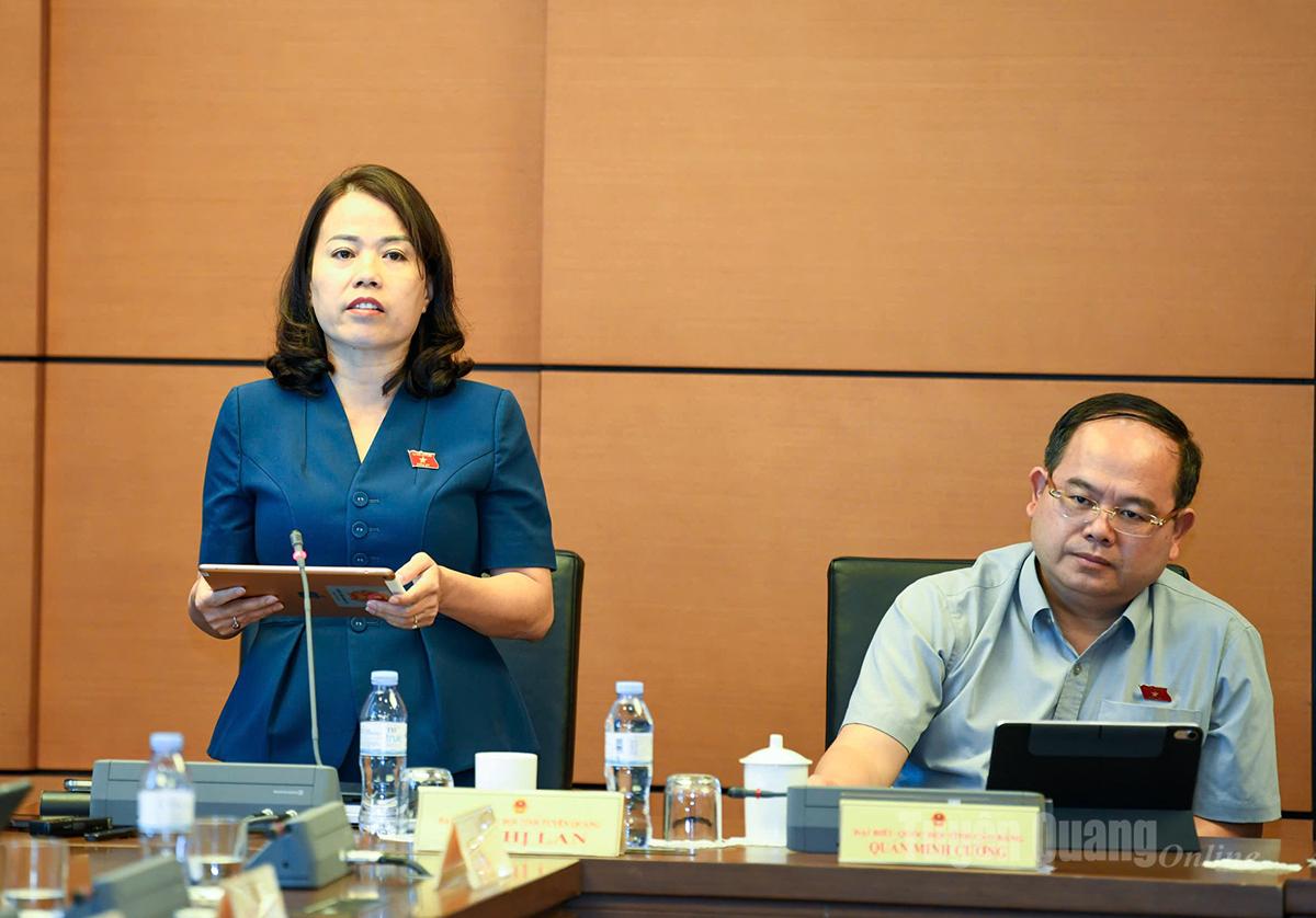 Đại biểu Lý Thị Lan phát biểu thảo luận tại tổ.