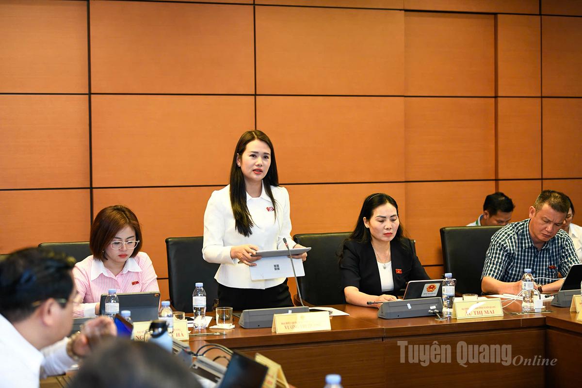 Đại biểu Vương Thị Hương phát biểu thảo luận.