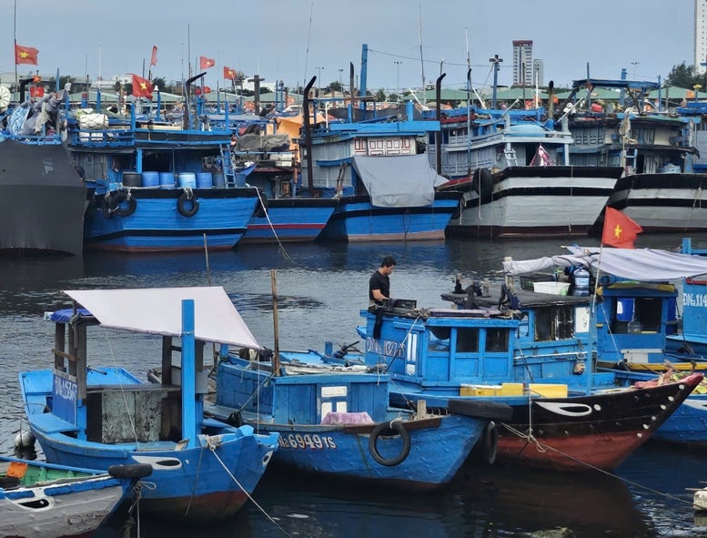 Đà Nẵng kêu gọi người dân trữ lương thực, nhu yếu phẩm ít nhất 3 ngày phòng lũ lớn- Ảnh 1.