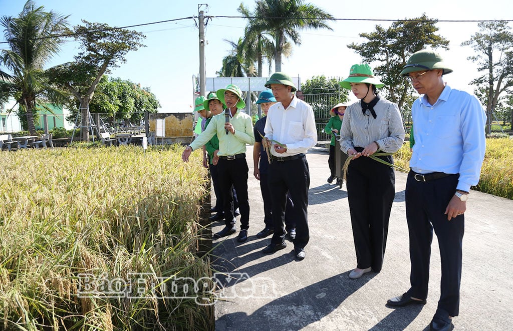 Đồng chí Nguyễn Hùng Nam, Phó Chủ tịch UBND tỉnh tham quan Viện nghiên cứu cây trồng, Công ty Cổ phần Tập đoàn Thaibinh Seed, xã Bắc Đông Hưng. 