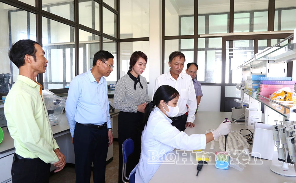 Đồng chí Nguyễn Hùng Nam, Phó Chủ tịch UBND tỉnh tham quan phòng thí nghiệm tại Viện nghiên cứu cây trồng, Công ty Cổ phần Tập đoàn Thaibinh Seed, xã Bắc Đông Hưng. 