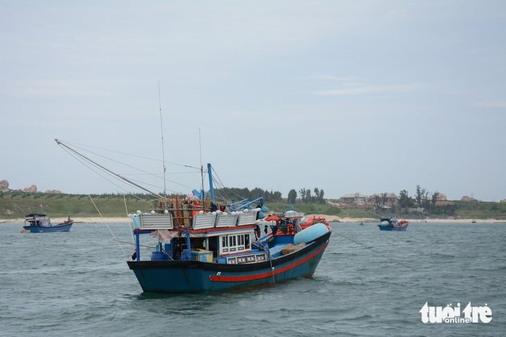 Hòn Cau - Ảnh 3.