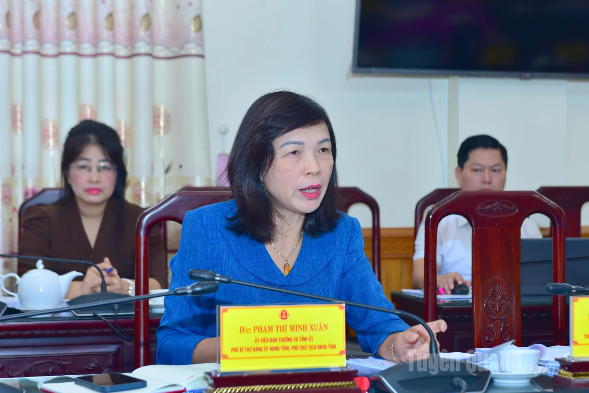 Đồng chí Phó Chủ tịch HĐND tỉnh Phạm Thị Minh Xuân cho ý kiến vào nội dung một số dự thảo nghị quyết.