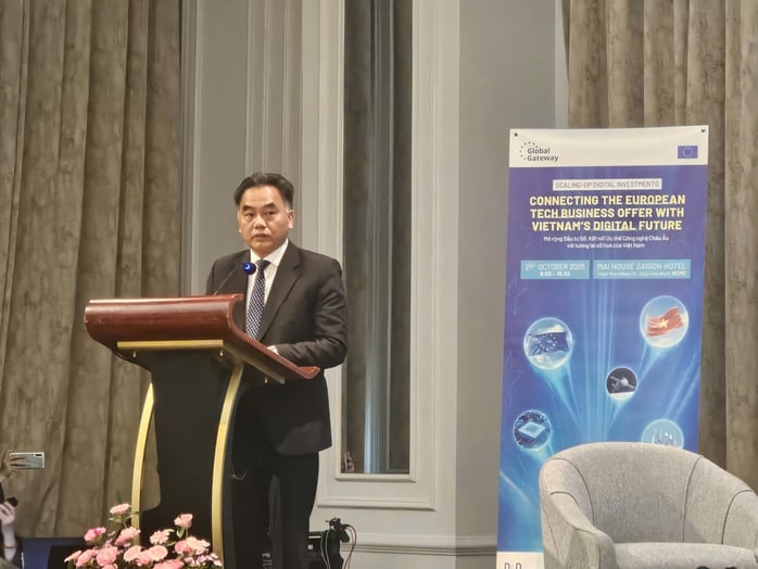 TP HCM hướng tới siêu đô thị số, đẩy mạnh hợp tác với châu Âu - Ảnh 2.