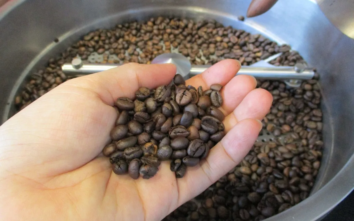 US roasted coffee industry faces difficulties due to tariffs Ngành cà phê rang tại Mỹ gặp khó do thuế quan