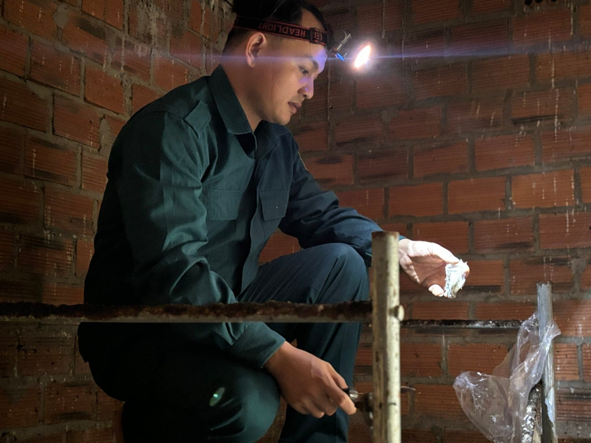 Harvesting bird's nests at Thanh Cong Cooperative