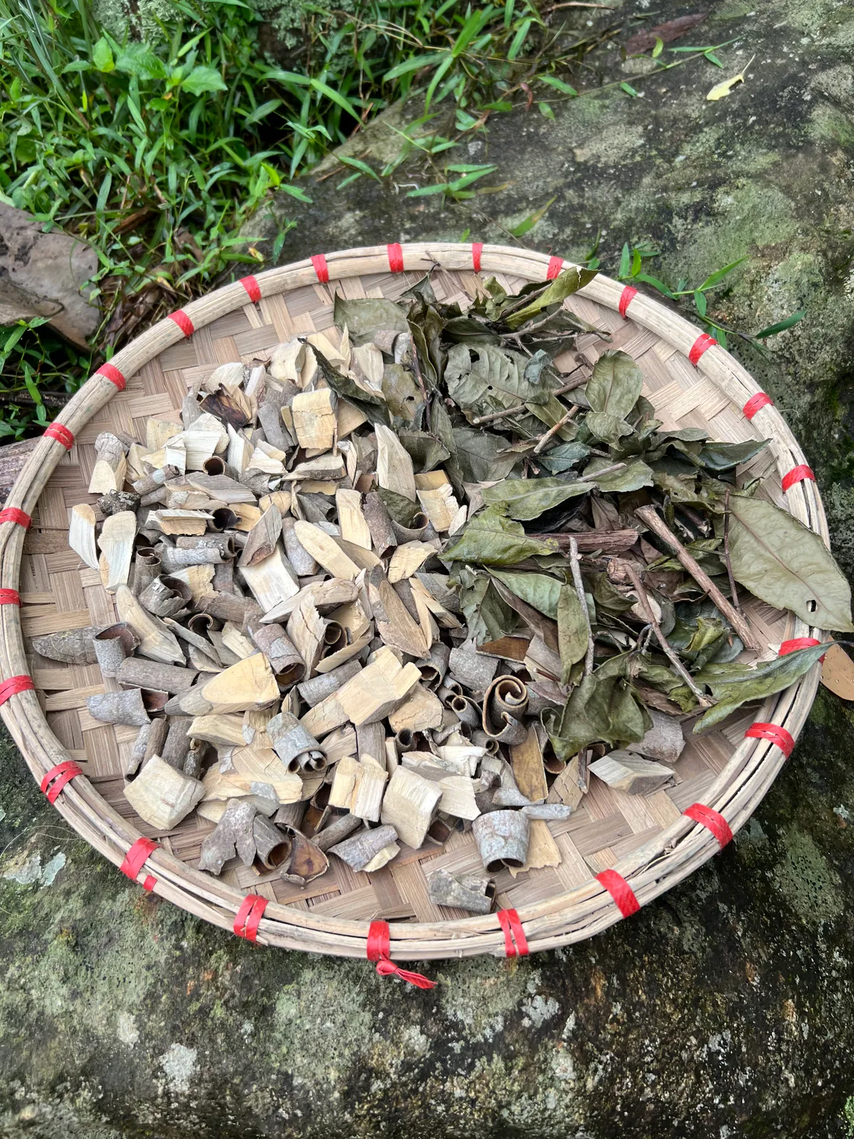 Dược liệu vùng cao trong hành trình du lịch sức khỏe - Ảnh 5.