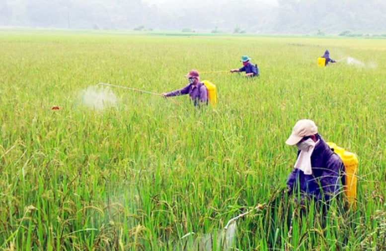 Thuốc trừ sâu: 895 hoạt chất với 2194 tên thương phẩm