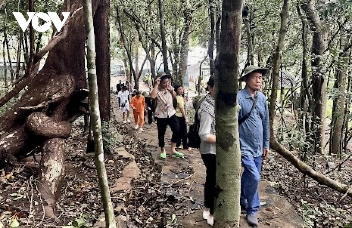 Khai thác "mỏ vàng" du lịch y tế ở khu vực phía Đông TP.HCM - Ảnh 3.