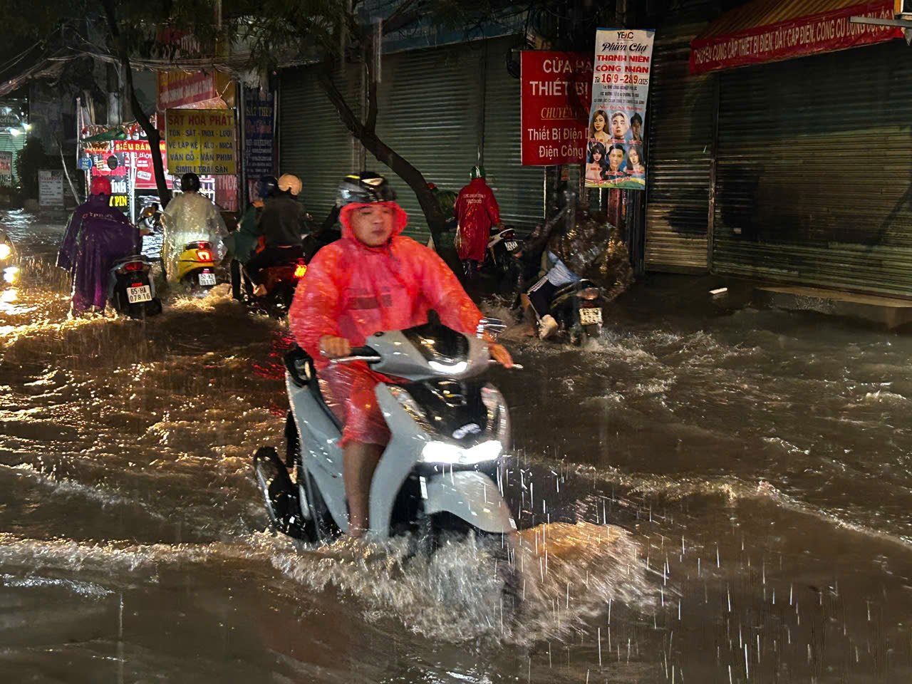 사진 설명