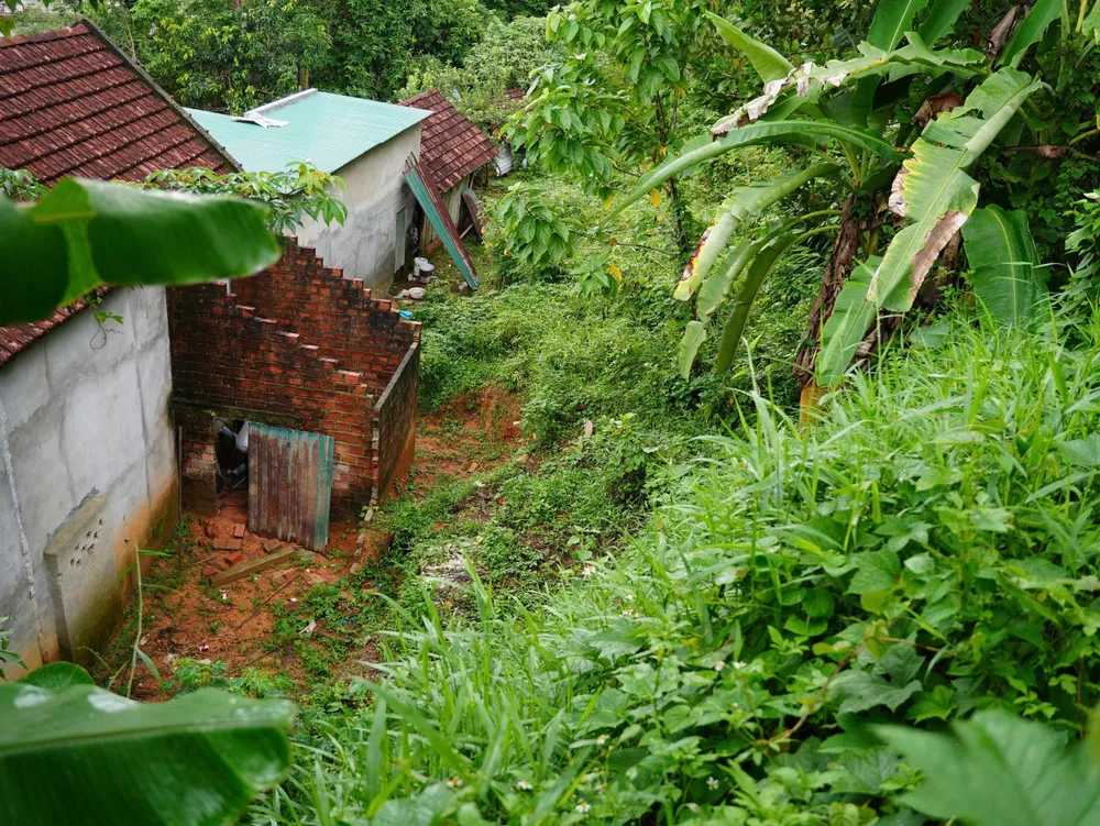sơn hạ