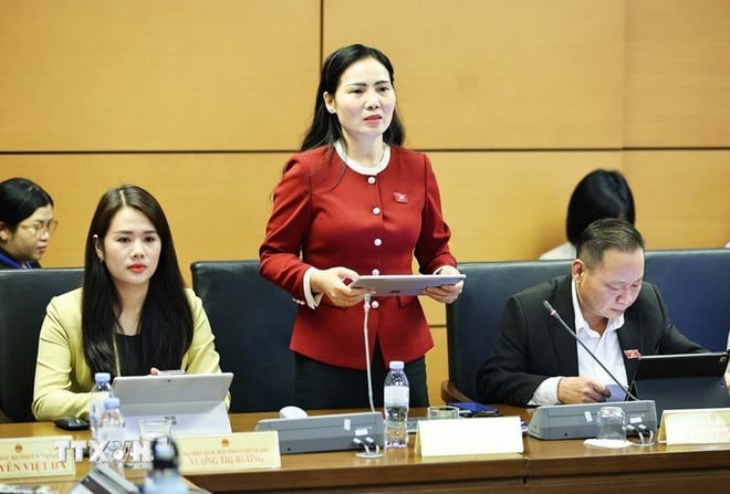 ttxvn-quoc-hoi-thao-luan-ve-mot-so-du-an-luat-sua-doi.jpg