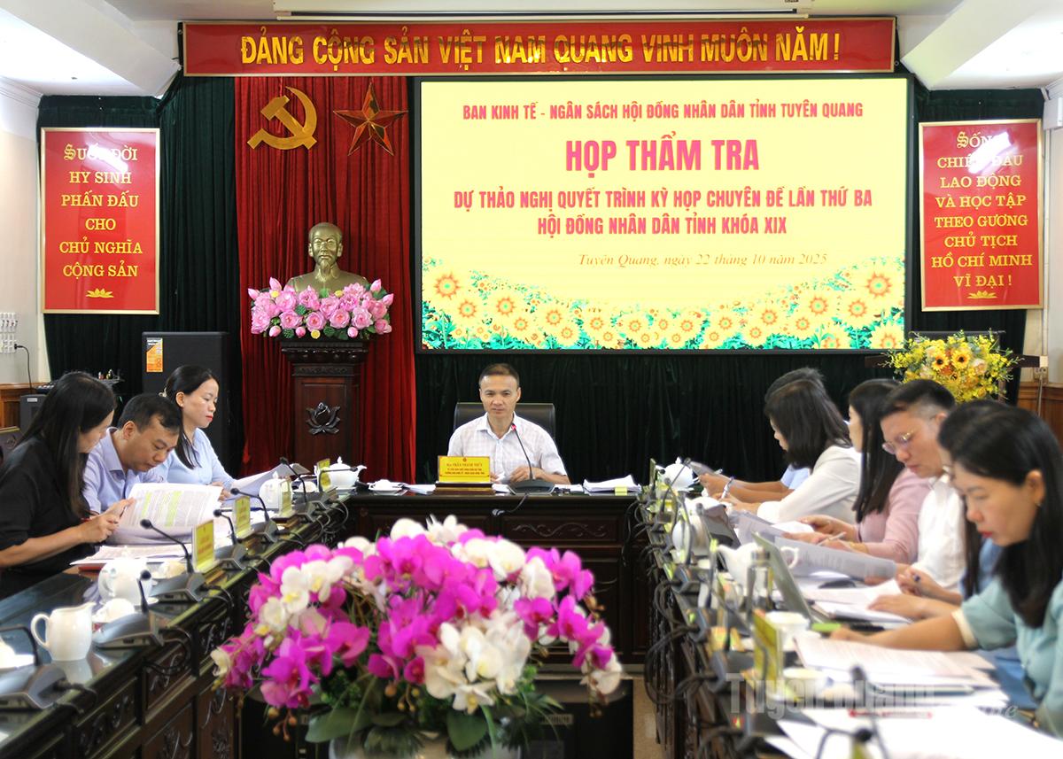 Az ülést Tran Thanh Thuy, a Tartományi Népi Tanács Gazdasági-Költségvetési Bizottságának vezetője elnökölte.