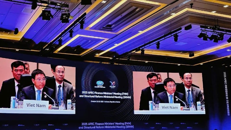 El Ministro de Finanzas, Nguyen Van Thang, asistió a la 32ª Reunión de Ministros de Finanzas de la APEC en Incheon (Corea del Sur).