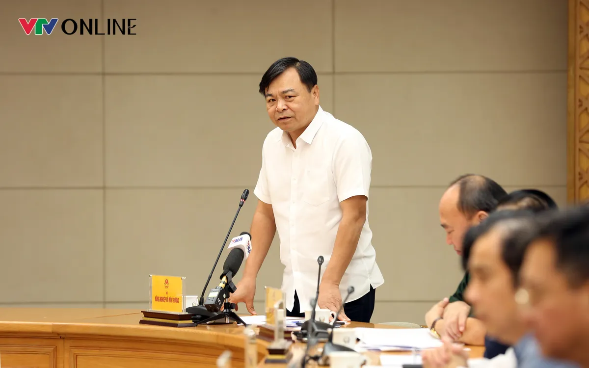 Phó Thủ tướng yêu cầu ứng phó bão số 12 cần: Đổi mới dự báo, chủ động ứng phó - Ảnh 2.