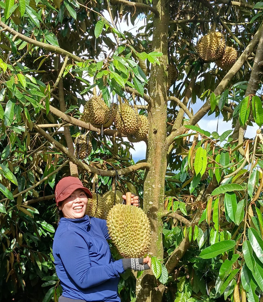 nong-dan-gioi.jpg