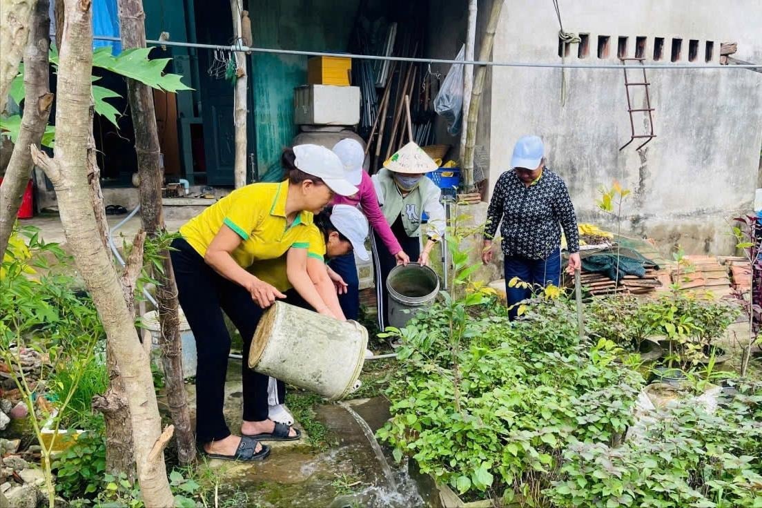 Da Nang város kerületei egyidejűleg környezetvédelmi kampányokat indítottak a szúnyoglárvák elpusztítására.