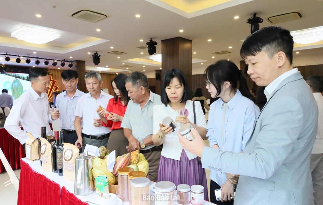 Các sản phẩm ca cao của hợp tác xã tham gia dự án trưng bày tại buổi tọa đàm.