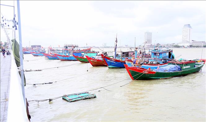 ចំណងជើងរូបថត