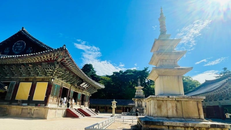 The ancient capital of Gyeongju conquers visitors with its ancient and quiet beauty.