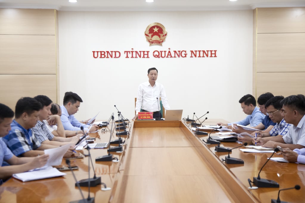 O camarada Le Van Anh, vice-presidente do Comitê Popular Provincial, fez um discurso de encerramento na reunião.