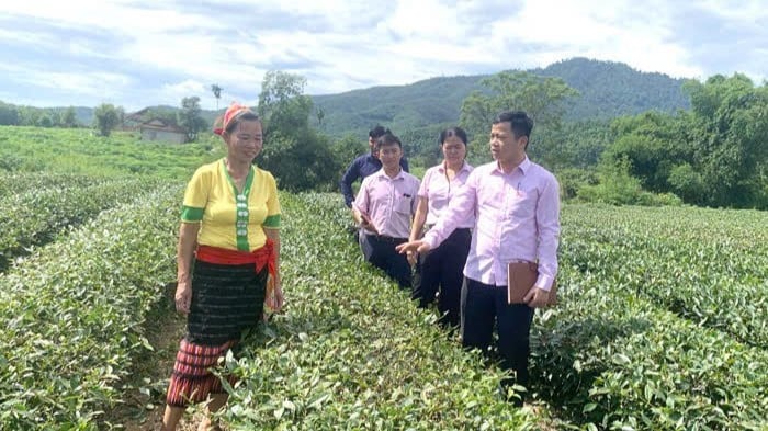 can-bo-tin-dung-nhcsxh-anh-son-tan-tinh-huong-dan-nhan-dan-su-dung-von-vay-phat-trien-kinh-te-cai-thien-doi-song1-4712.jpg