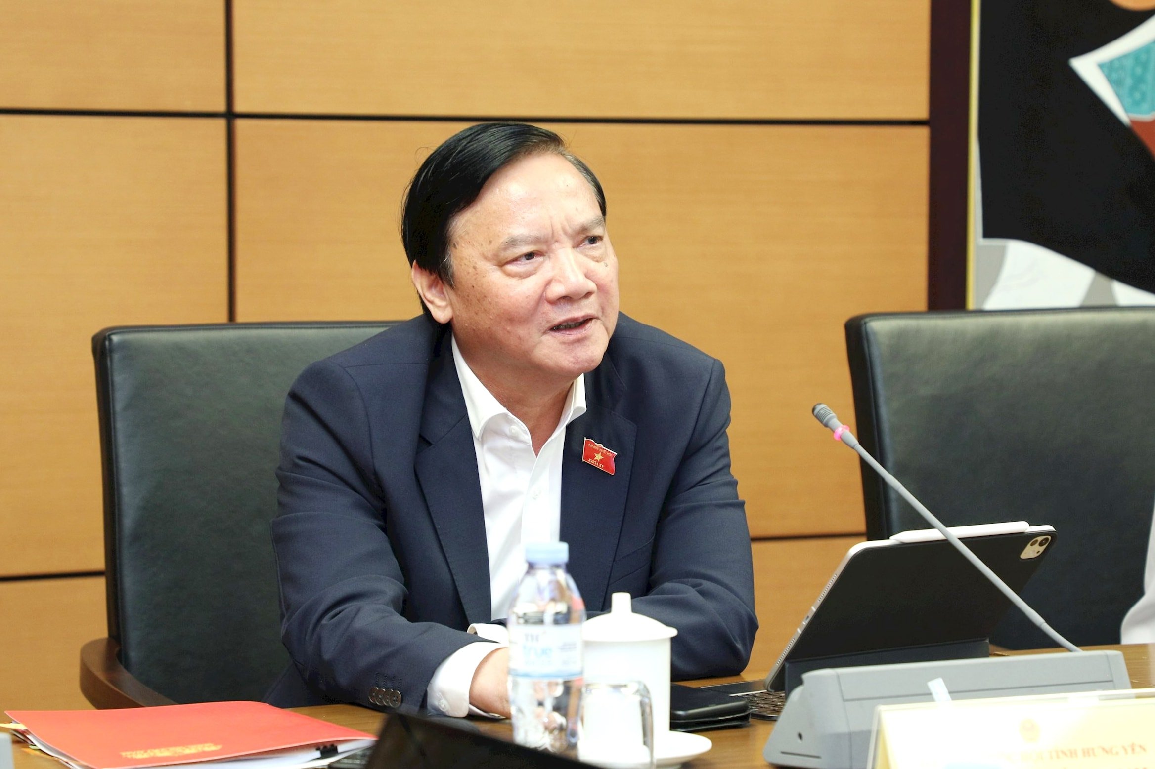 Vice Chairman of the National Assembly Nguyen Khac Dinh speaks at the discussion