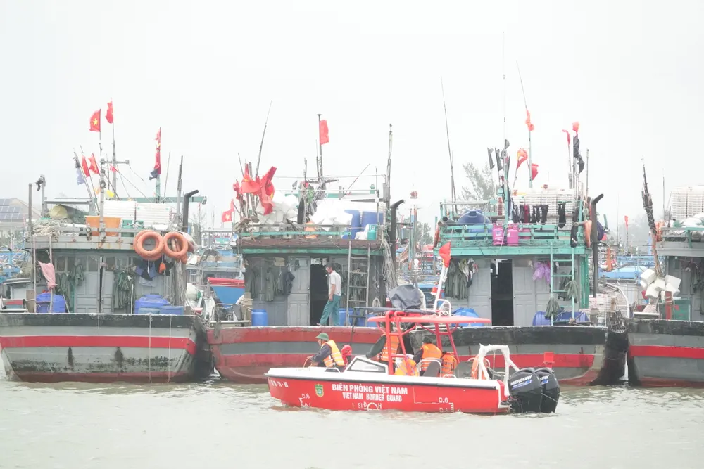Las autoridades revisan el amarre de los barcos pesqueros en Da Nang. Foto: XUAN QUYNH