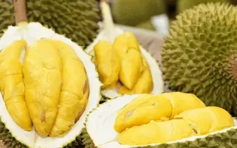 Les exportations de fruits et légumes devraient dépasser les 8 milliards de dollars d'ici 2025 Xuất khẩu rau quả kỳ vọng vượt mốc 8 tỷ USD năm 2025