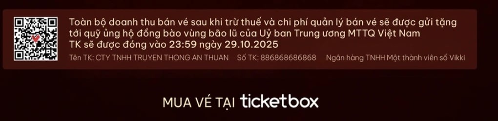 Đêm nhạc Tôi! Người Việt Nam: Mỗi tấm vé ý nghĩa với người dân vùng lũ - 4