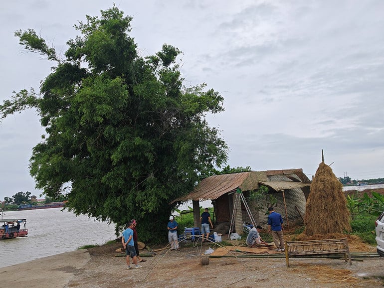 buong-boicanh.jpg