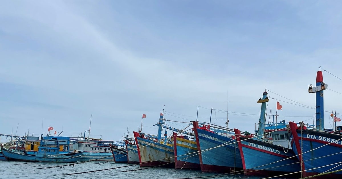 Phú Quý chủ động ứng phó, đảm bảo an toàn trước ảnh hưởng bão số 12