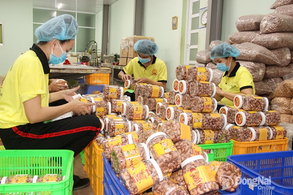 Linia de procesare a produselor din nuci caju la Fabrica Agricolă și de Prelucrare a Alimentelor Ba Tu Binh Phuoc (comuna Dong Tam, provincia Dong Nai). Fotografie: B. Nguyen