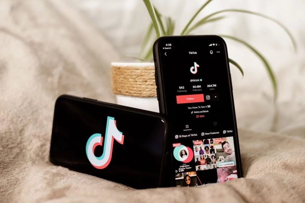 Người dùng tuyệt đối không làm theo những video này trên TikTok - 1