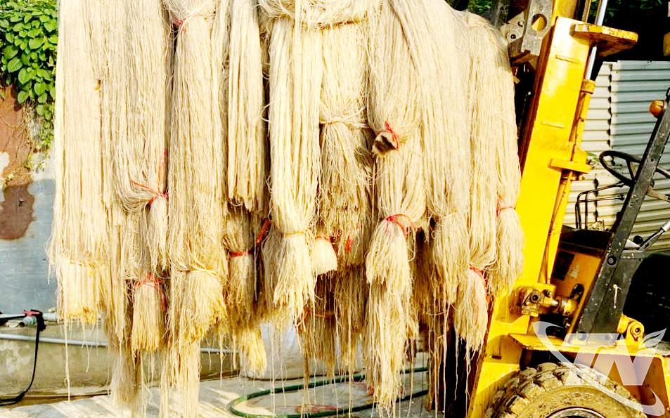 A Cooperativa de Vermicelli Viet Cuong (comuna de Dong Hy) - uma famosa produtora de vermicelli em Thai Nguyen - é uma das unidades que sofreu grandes danos devido às enchentes.