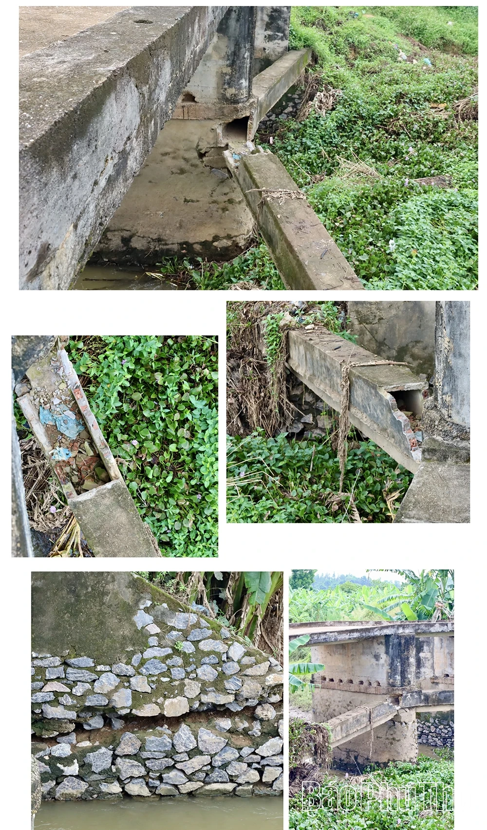 Wunsch in Thanh Ba