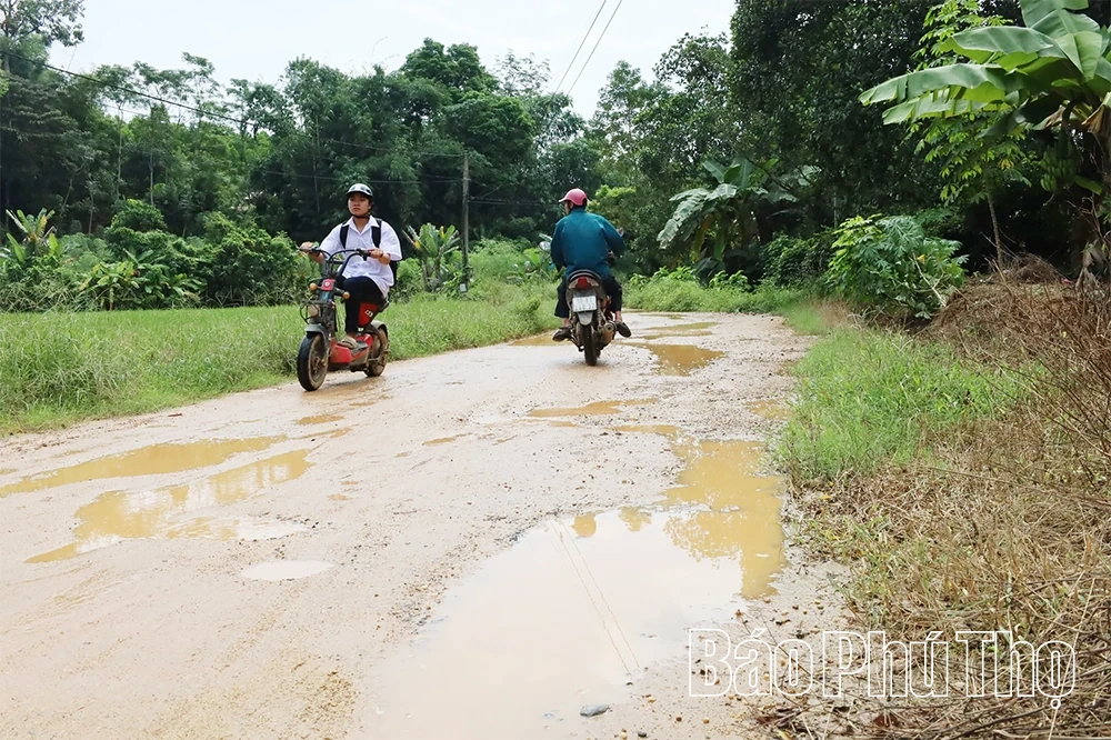 Wunsch in Thanh Ba