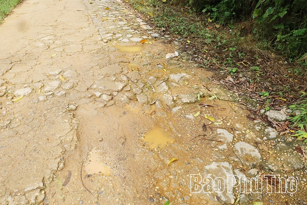 Wunsch in Thanh Ba