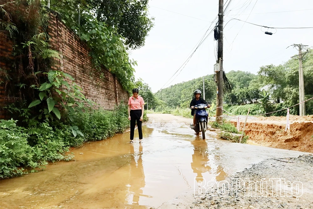 Wunsch in Thanh Ba