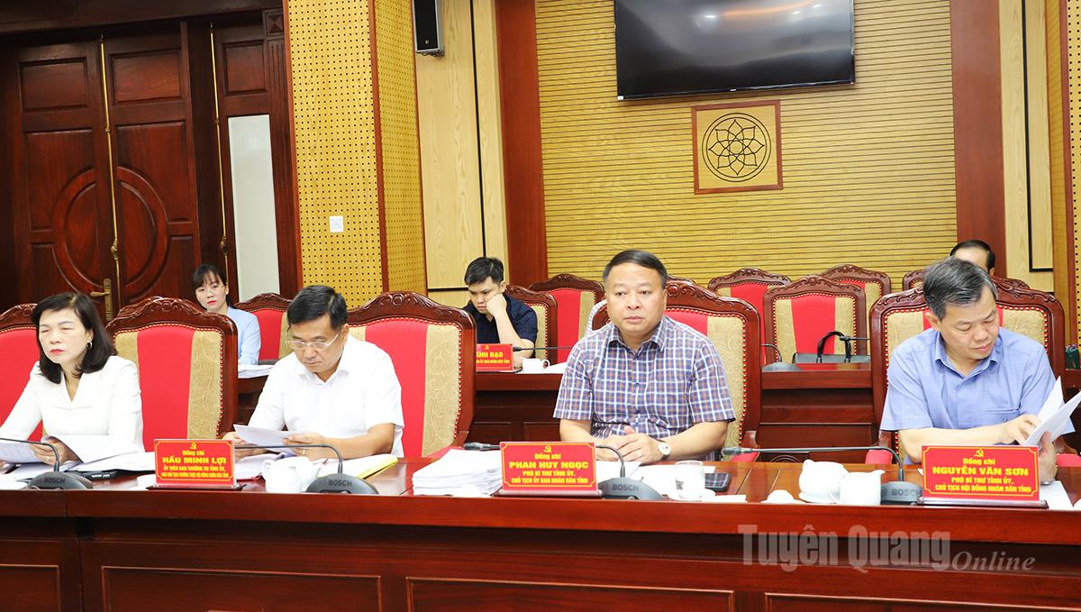 Nestleder i den provinsielle partikomiteen, leder av det provinsielle folkerådet Nguyen Van Son og nestleder i den provinsielle partikomiteen, leder av den provinsielle folkekomiteen Phan Huy Ngoc og delegater deltok på konferansen.