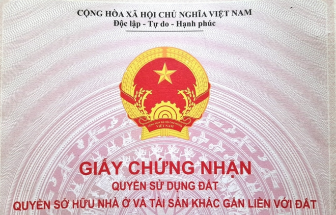 (İllüstrasyon fotoğrafı. Kaynak: Vietnam+)
