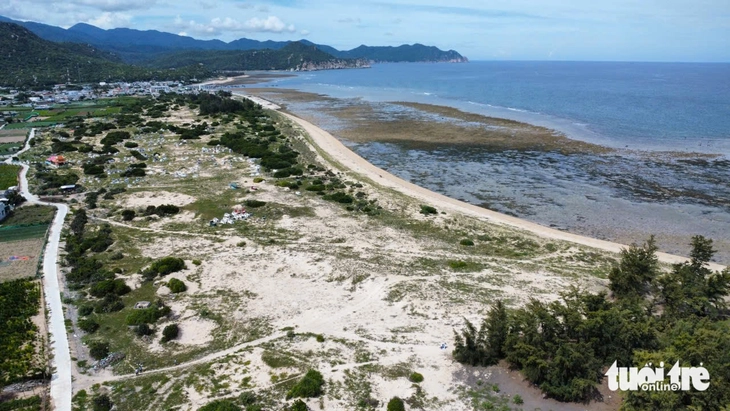 Kernenergieproject Ninh Thuan: mensen willen veilige, gemakkelijke en makkelijk te ontwikkelen huisvesting - Foto 3. Dự án điện hạt nhân Ninh Thuận: Dân muốn tái định cư an toàn, thuận lợi - Ảnh 3.