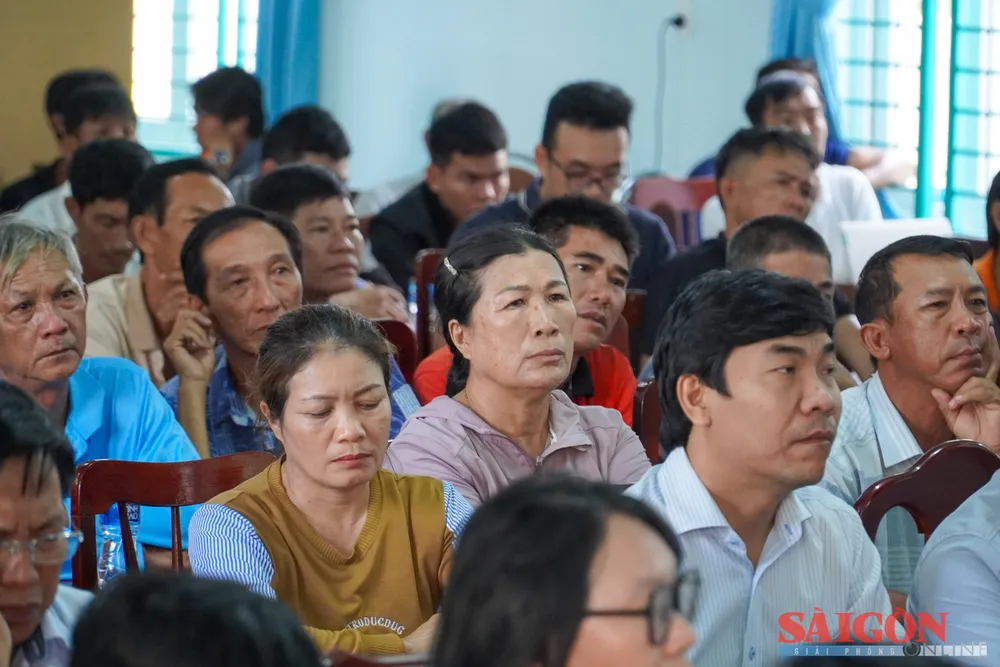 dasua-01148.jpg