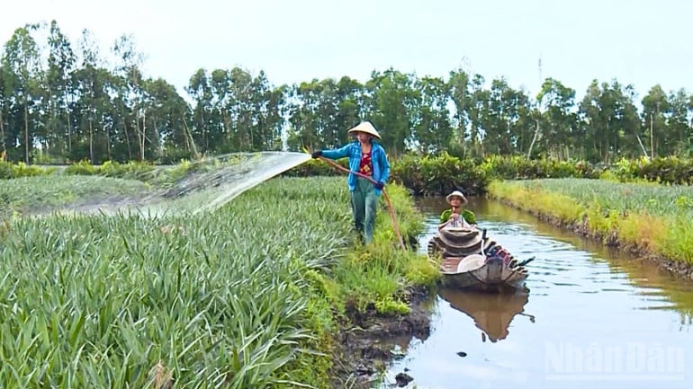 ndo_br_thiet-ke-chua-co-ten-1.png